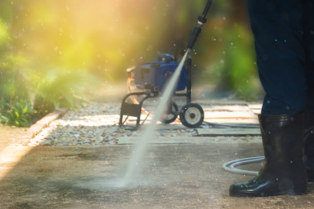 Best Roof Washing  in Bellevue, PA
